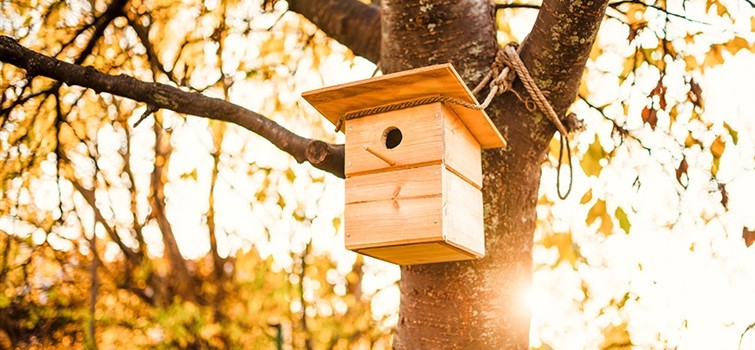 Vyrobte si s dětmi ptačí budku