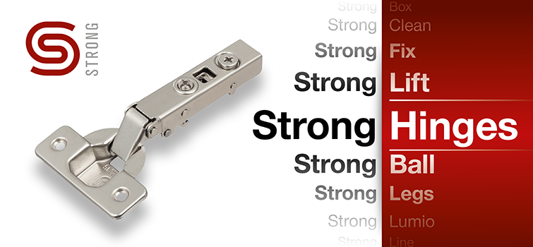 Upravujeme názvosloví Strong