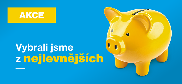 Desítky produktů za akční cenu!