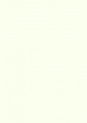 DTDL W1000 SM Prémiově bílá 2800/2070/18