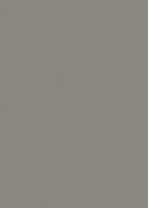 DTDL F501 ST2 Hliník kartáčovaný 2800/2070/25