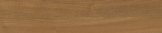ABSB H1251 ST19 Robinie Branson přírodně hnědá 23/0,4