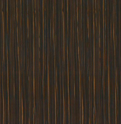 DTDL R50077 HG Macassar Sulawesi hnědý 2800/2100/19