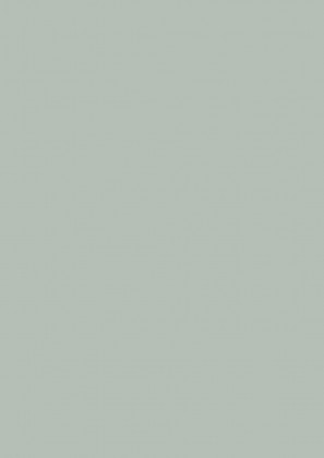 DVEŘNÍ PLÁŠŤ HDF U763 ST2 2130/2050/3