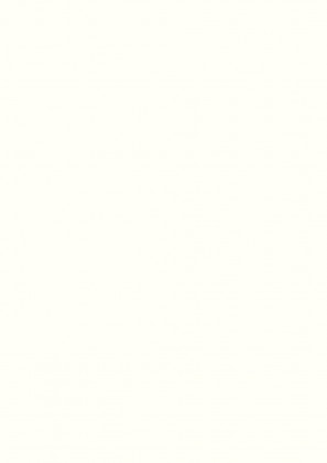 DVEŘNÍ PLÁŠŤ MDF HD W1000 SM 2130/2050/3