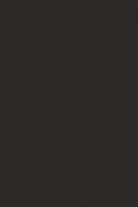 DTDL 166 BS Čedičově hnědá 2800/2070/25