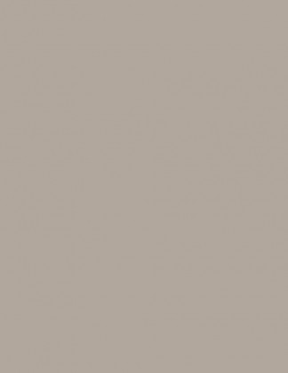 MDF LAM FENIX 0748 NTM Beige Arizona 1STR 3050/1300/17,9