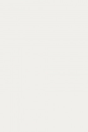 DTDL 110 SM Bílá 2800/2070/19