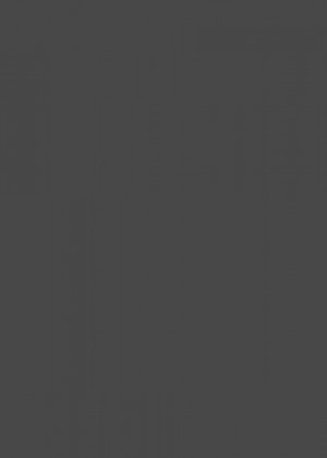 RC SLIM 2106L Grafite HG 2800/1300/4