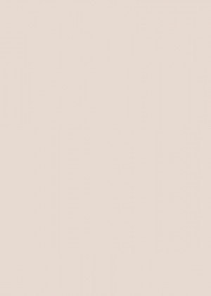 RC SLIM 1698L Magnolia MATT 2800/1300/4