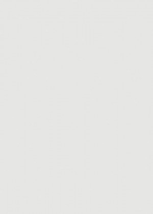 RC SLIM 1910L Nebbia HG 2800/1300/4