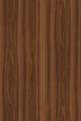 DTDL 729 BS Ořech 2800/2070/19