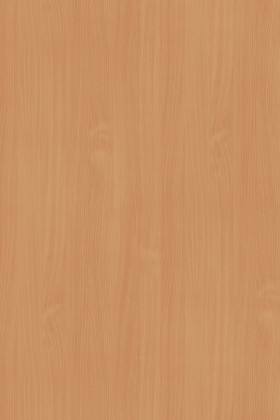 DTDL 381 BS Buk 2800/2070/19