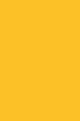 DTDL 134 BS Zářivě žlutá 2800/2070/28