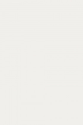 DTDL P3 110 PE Bílá 2800/2070/19