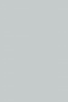 DTDL 112 PE Kamenná šedá 2800/2070/10