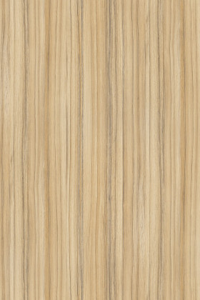 DTDL 8995 SN Coco Bolo 2800/2070/25