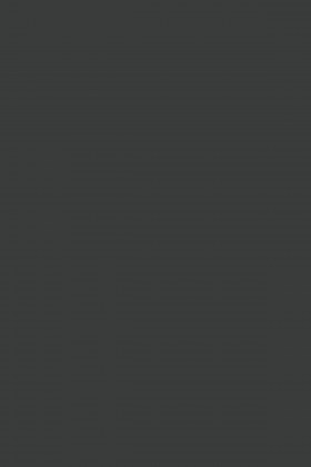 MDFL 164 PE Antracit 2800/2070/18