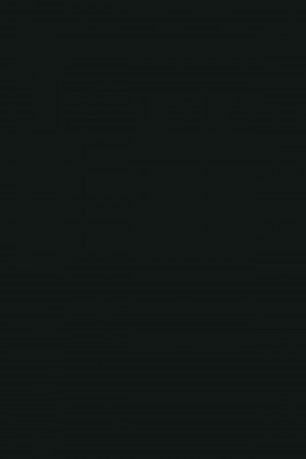 MDFL 190 PE Černá 2800/2070/12