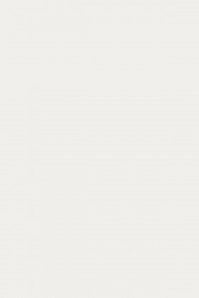 MDFL 110 PE Bílá 2800/2070/10