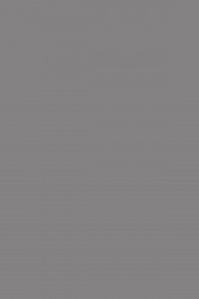 DTDL 171 PE Břidlicově šedá 2800/2070/19