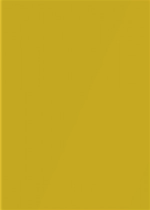 RC SLIM 2437L Giallo (Žlutá) MATT 2800/1300/3,5