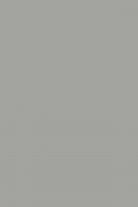 DTDL 197 SU Šedá činčila 2800/2070/22