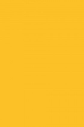 DTDL 134 BS Zářivě žlutá 2800/2070/19