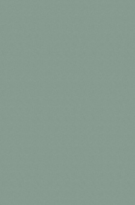 Pracovní deska 0859 PE Platina 4100/600/38