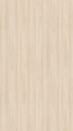 DTDL H3860 ST9 Javor Hard šampaňský 2800/2070/10