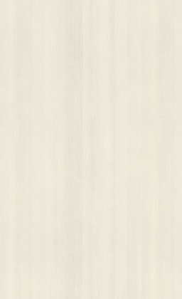 DTDL R55001 RU Pinie Navarra 2800/2100/18