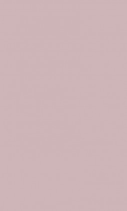 DTDL U17501 SD Rose 2800/2100/18