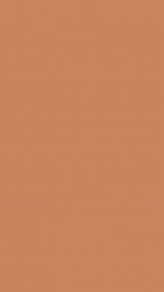 DTDL U830 ST9 Nude karamelová 2800/2070/18