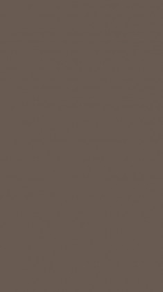 DTDL U748 ST9 Lanýžově hnědá 2800/2070/10