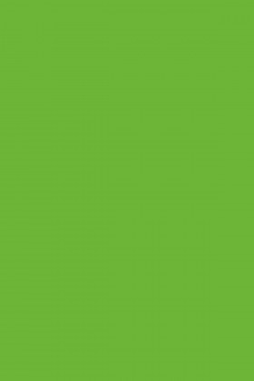 DTDL 7190 BS Zářivě zelená 2800/2070/22