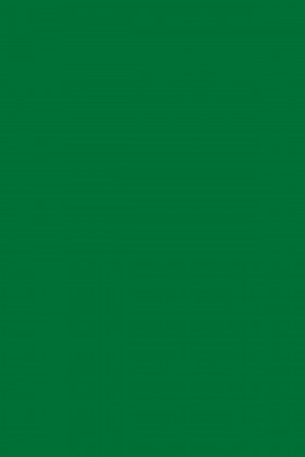DTDL 9561 BS Tmavě zelená 2800/2070/28
