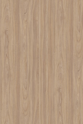 DTDL 5500 SU Přírodní jilm Noble 2800/2070/38