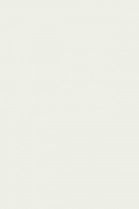 DTDL 101 SM Bílá front 4100/2070/16