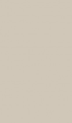 DTDL Flammex U750 ST9 Taupe šedá 2800/2070/18,6