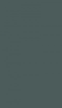 DTDL U665 ST9 Kamenná zelená 2800/2070/12