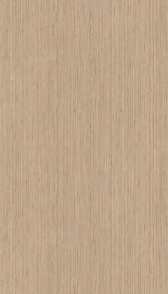 DTDL H305 ST12 Dub Tonsberg přírodní 2800/2070/38