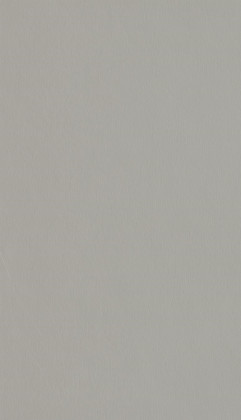 DTDL F765 ST20 Kov stříbrněšedý broušený 2800/2070/8