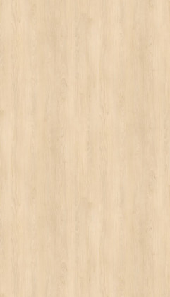 DTDL H1732 ST9 Bříza písková 2800/2070/12