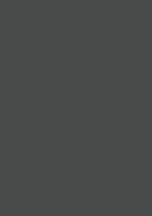 TL Egger U960 ST76 4,1m