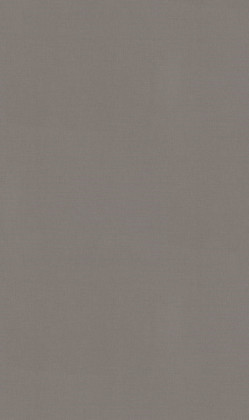 DTDL F433 ST10 Len antracitový 2800/2070/25