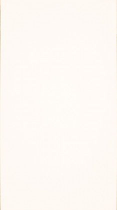 DTL FENIX 0029 NTM Bianco Malé 1str. 3050/1300/19