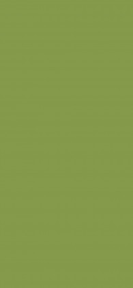 LAM U626 ST9 Kiwi zelená 2800/1310/0,8