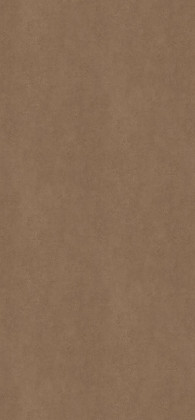 LAM F323 ST20 Cobra bronzová 2800/1310/0,8