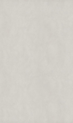 DTDL FB45 IN/0E MOSAICO 2800/2070/18,6