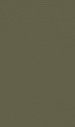 DTDL U645 ST9 Agávově zelená 2800/2070/18